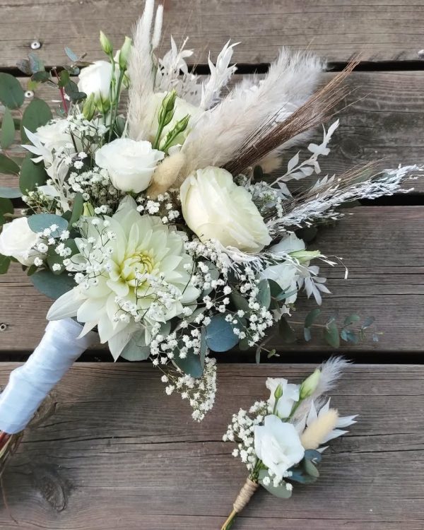 phosphor.utils.elfsightcdn.com-2