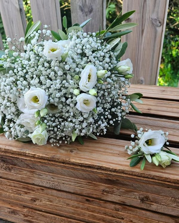 phosphor.utils.elfsightcdn.com